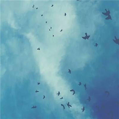 万博(ManBetx)app下载