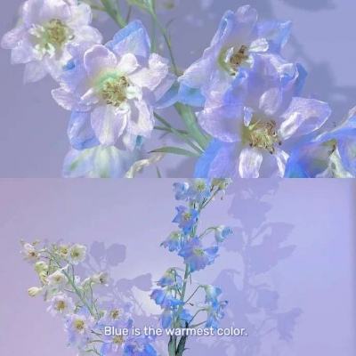 pg电子·模拟器(试玩游戏)手机app下载截图