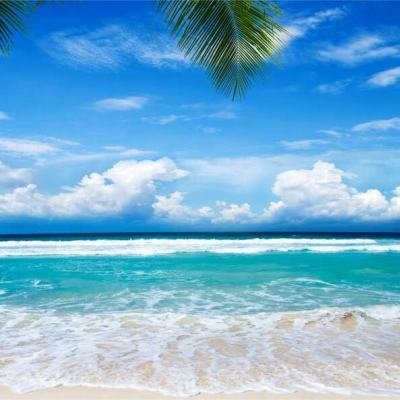 BOB半岛·体育官方平台