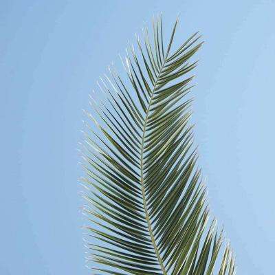 米乐网app下载截图