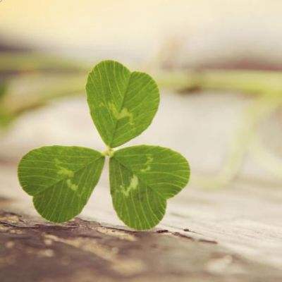 米乐下载地址app下载