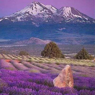 皇冠新体育下载手机版