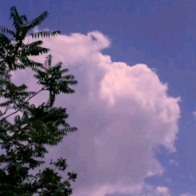 bob·体育综合app手机app下载